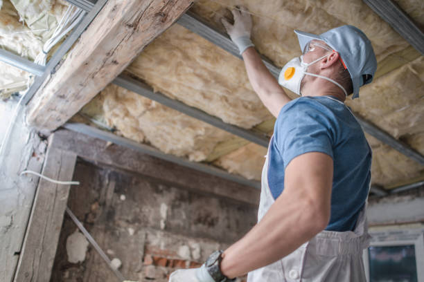 Best Residential Insulation Services  in De Witt, NY