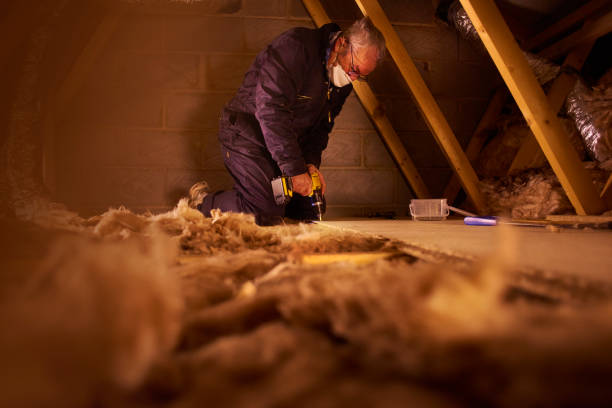 Best Insulation Replacement Services  in De Witt, NY